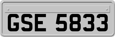 GSE5833