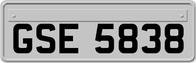 GSE5838