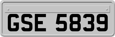 GSE5839