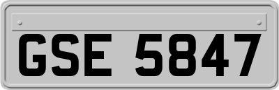 GSE5847