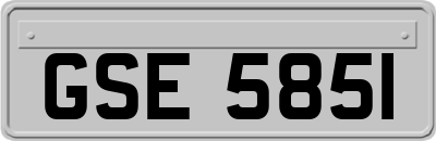 GSE5851