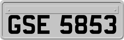 GSE5853