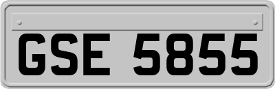 GSE5855