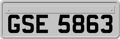 GSE5863