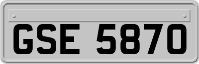 GSE5870