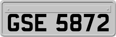 GSE5872