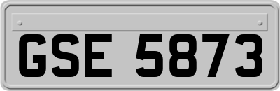 GSE5873