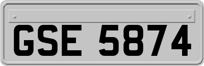 GSE5874