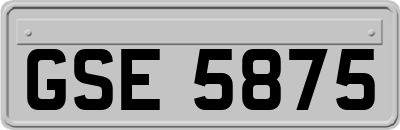 GSE5875