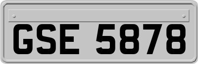 GSE5878