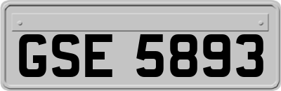 GSE5893