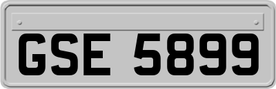 GSE5899