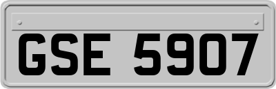 GSE5907