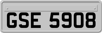 GSE5908