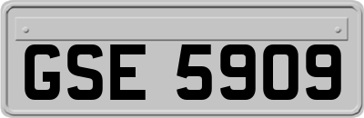 GSE5909