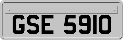 GSE5910