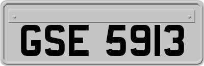 GSE5913