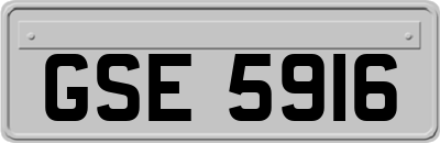 GSE5916