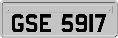 GSE5917
