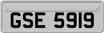 GSE5919