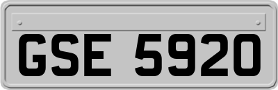 GSE5920