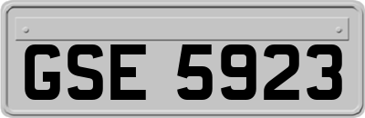 GSE5923