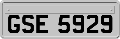GSE5929
