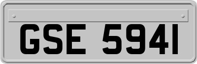 GSE5941