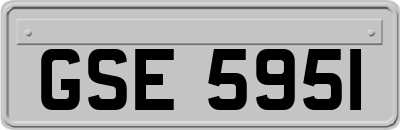 GSE5951