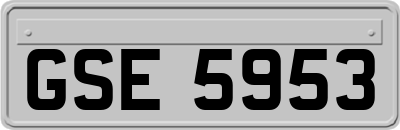 GSE5953
