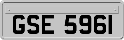GSE5961