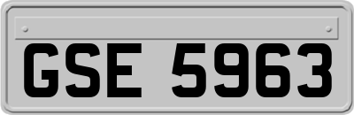 GSE5963