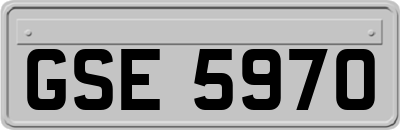 GSE5970