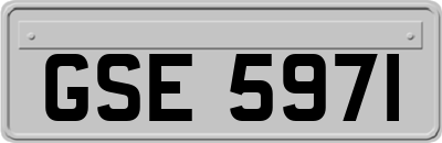 GSE5971