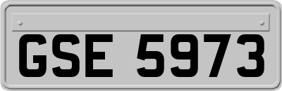 GSE5973
