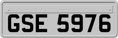 GSE5976