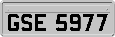 GSE5977