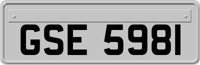 GSE5981