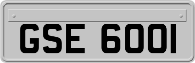 GSE6001