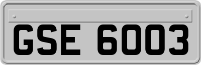 GSE6003