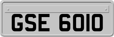 GSE6010
