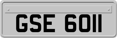 GSE6011