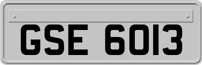 GSE6013