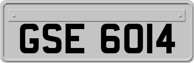 GSE6014