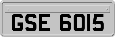 GSE6015