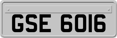 GSE6016