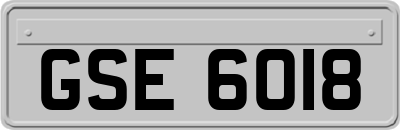 GSE6018