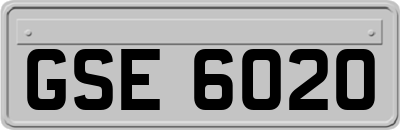 GSE6020