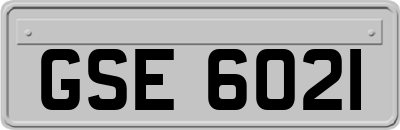 GSE6021