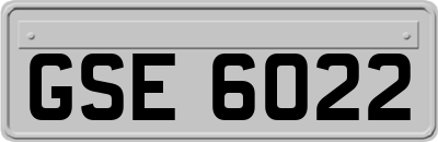 GSE6022